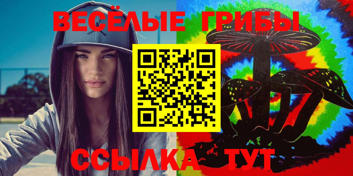 Псилоцибиновые грибы прущие грибы Моздок