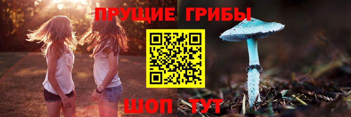 Псилоцибиновые грибы Psilocybe  купить закладку  Моздок  Вход с VPN 